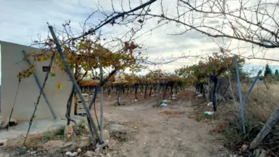Terreno en venta en Crtra Hondon de Las Nieves - Vista 5