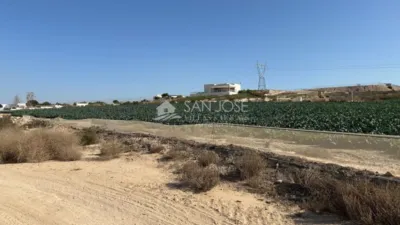 Terreno en venta en Elche - Elx - Vista 4