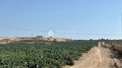 Terreno en venta en Elche - Elx - Vista 5