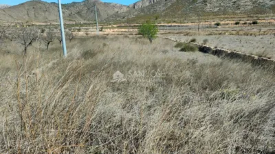 Terreno en venta en Barbarroja - Vista 3