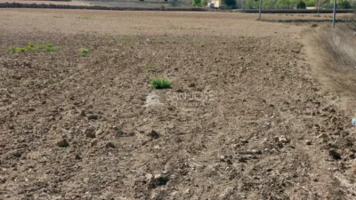 Terreno en venta en Barbarroja - Más