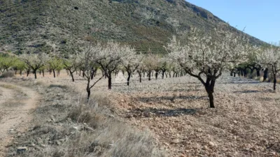 Terreno en venta en Barbarroja - Vista 2