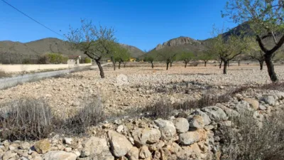 Terreno en venta en Barbarroja - Vista 3