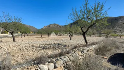Terreno en venta en Barbarroja - Vista 4