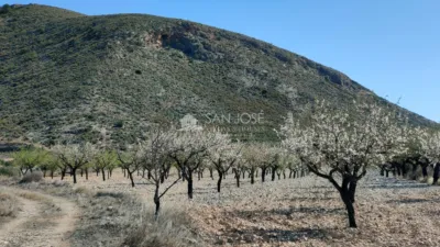 Terreno en venta en Barbarroja - Vista 5