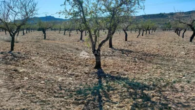 Terreno en venta en Barbarroja - Més