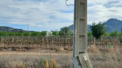 Terreno en venta en Tolomo - Vista 3