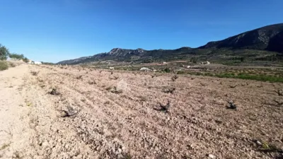 Terreno en venta en Algueña - Vista 2