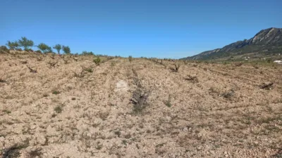 Terreno en venta en Algueña - Vista 5