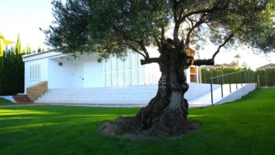 Chalet en Golf Alenda photo 13