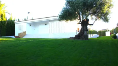 House in Monforte del Cid - View 5
