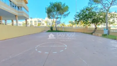 Apartment in Arenales del Sol photo 18