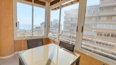 Apartment in Arenales del Sol photo 19