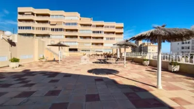 Apartment in Arenales del Sol photo 20