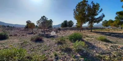 Terreno en venta en Urbanizacion - Vista 4