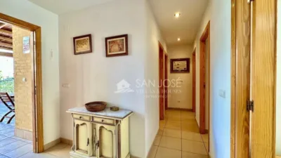 Apartment in Playa Muchavista photo 18