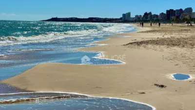 Apartment in Playa Muchavista photo 2