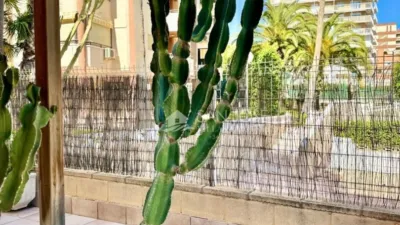 Apartment in Playa Muchavista photo 47