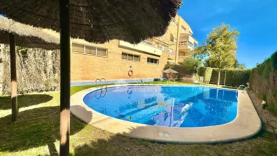 Apartment in Playa Muchavista photo 49