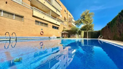 Apartment in Playa Muchavista photo 50