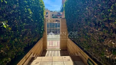 Apartment in Playa Muchavista photo 53