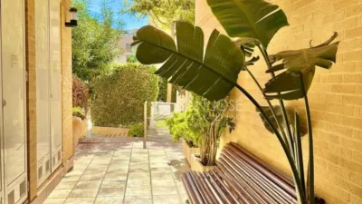 Apartment in Playa Muchavista photo 66