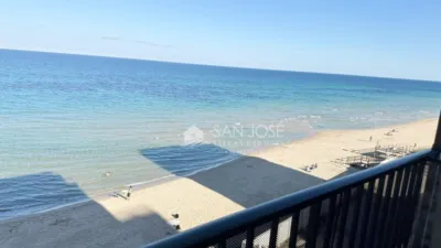 Apartment in Paseo Maritimo Area photo 13