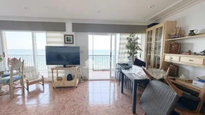 Apartment in Paseo Maritimo Area photo 15
