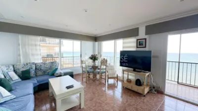 Apartment in Paseo Maritimo Area photo 16