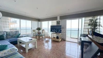 Apartment in Paseo Maritimo Area photo 3