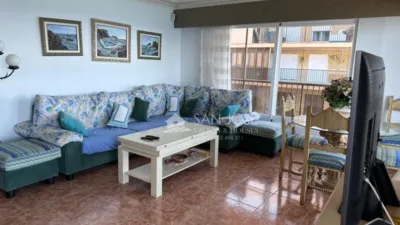 Apartment in Paseo Maritimo Area photo 8