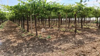 Terreno en venta en Alcaná - Vista 3