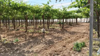 Terreno en venta en Alcaná - Vista 4