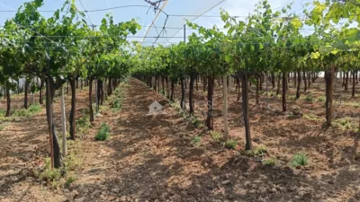 Terreno en venta en Alcaná - Vista 5