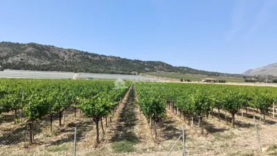 Terreno en venta en Alcaná - Vista 2