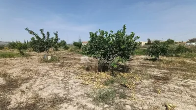 Terreno en venta en Calle Novelda - Vista 5