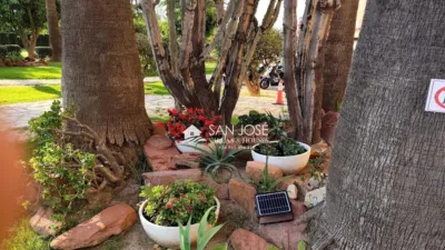 Apartment in Cabo de Las Huertas photo 51