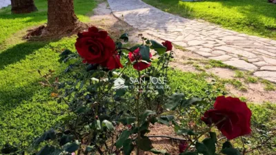 Apartment in Cabo de Las Huertas photo 52