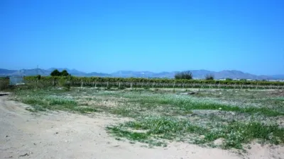 Terreno en venta en Camino de Elche - Vista 4