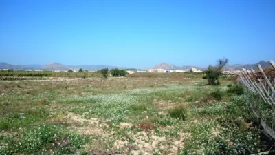 Terreno en venta en Camino de Elche - Vista 5