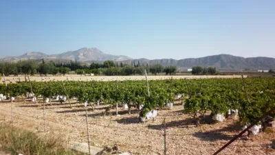 Terreno en venta en El Pla - Vista 2