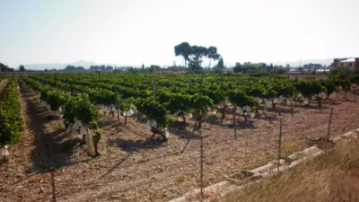 Terreno en venta en El Pla - Vista 4
