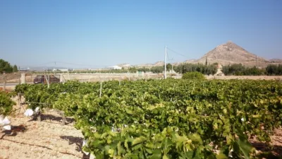 Terreno en venta en El Pla - Más