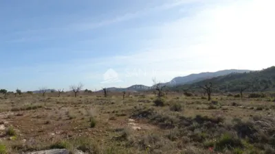 Terreno en venta en La Canalosa - Més