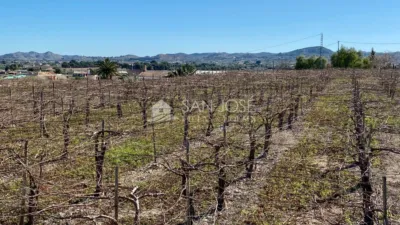 Terreno en venta en Alcaná - Vista 3