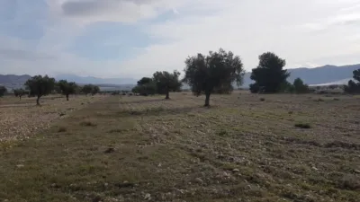 Rustic Finca on Salinas-Monovar Road photo 11