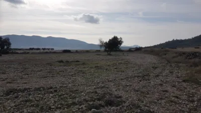 Rustic Finca on Salinas-Monovar Road photo 13