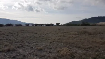 Rustic Finca on Salinas-Monovar Road photo 14