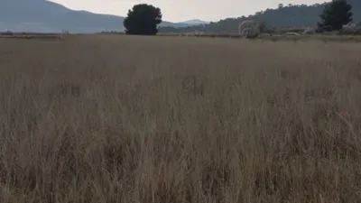 Rustic Finca on Salinas-Monovar Road photo 18