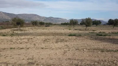 Rustic Finca on Salinas-Monovar Road photo 2